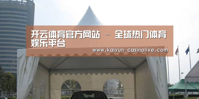 案例标题八