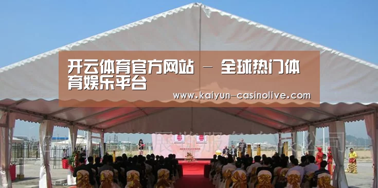 案例标题三