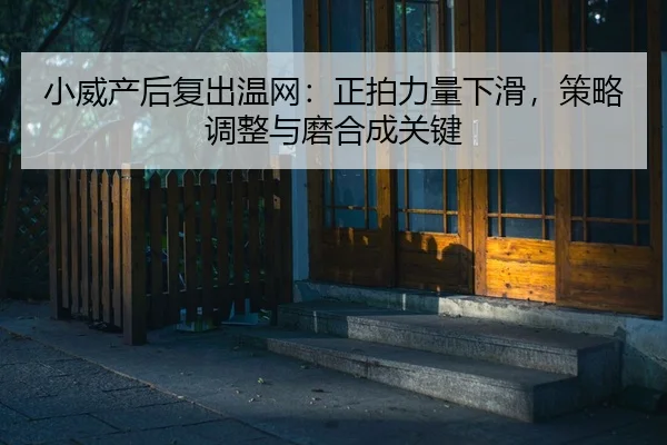 xiao-wei-chan-hou-fu-chu-wen-wang-zheng-pai-li-liang-xia-hua-ce-lve-tiao-zheng-yu-mo-he-cheng-guan-jian-2-764.jpg