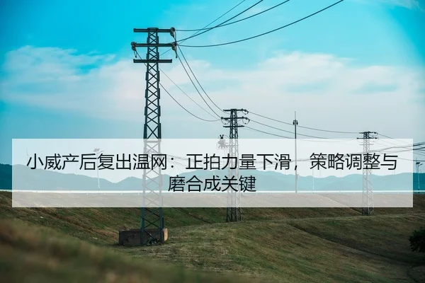 xiao-wei-chan-hou-fu-chu-wen-wang-zheng-pai-li-liang-xia-hua-ce-lve-tiao-zheng-yu-mo-he-cheng-guan-jian-3-833.jpg