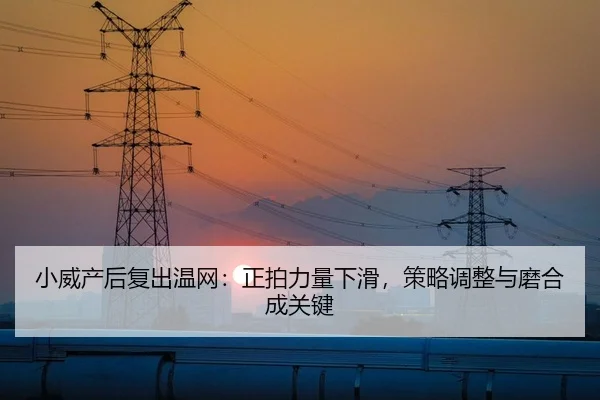 xiao-wei-chan-hou-fu-chu-wen-wang-zheng-pai-li-liang-xia-hua-ce-lve-tiao-zheng-yu-mo-he-cheng-guan-jian-1-994.jpg