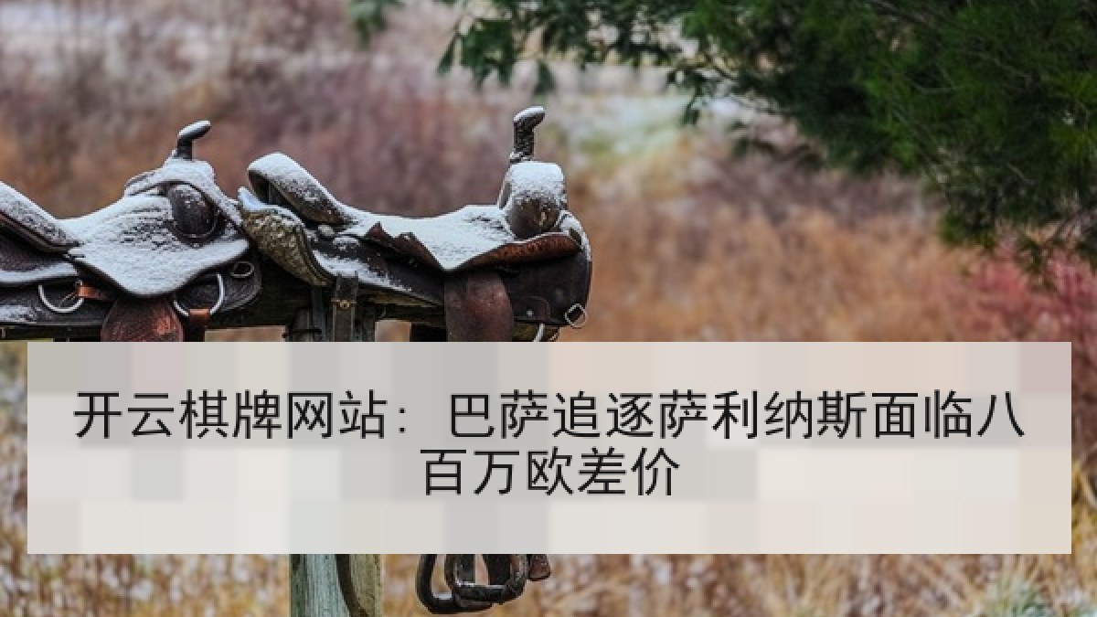 开云棋牌网站: 巴萨追逐萨利纳斯面临八百万欧差价