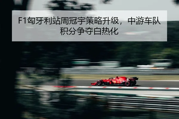 xiong-ya-li-zhan-zhou-guan-yu-ce-lve-sheng-ji-zhong-you-che-dui-ji-fen-zheng-duo-bai-re-hua-2-277.jpg