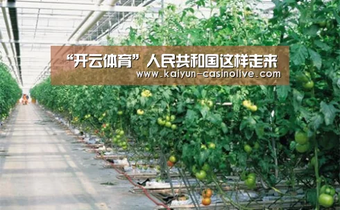 “开云体育”人民共和国这样走来