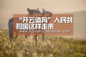 开云足球