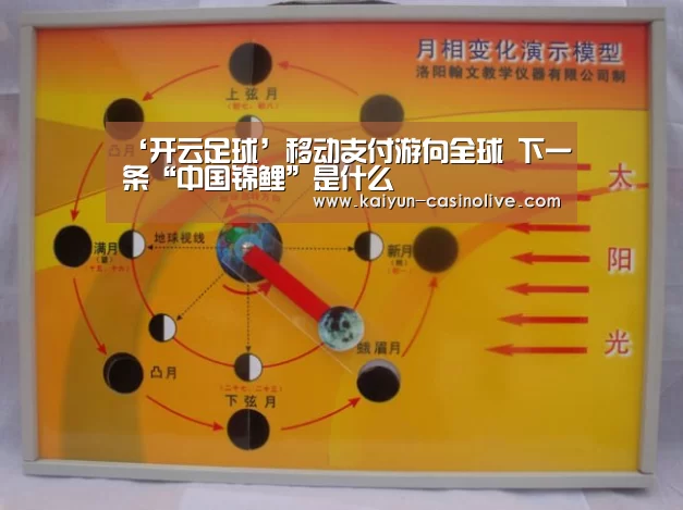 ‘开云足球’移动支付游向全球 下一条“中国锦鲤”是什么(图2) 开云体育
