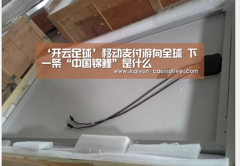 ‘开云足球’移动支付游向全球 下一条“中国锦鲤”是什么(图4) 开云篮球
