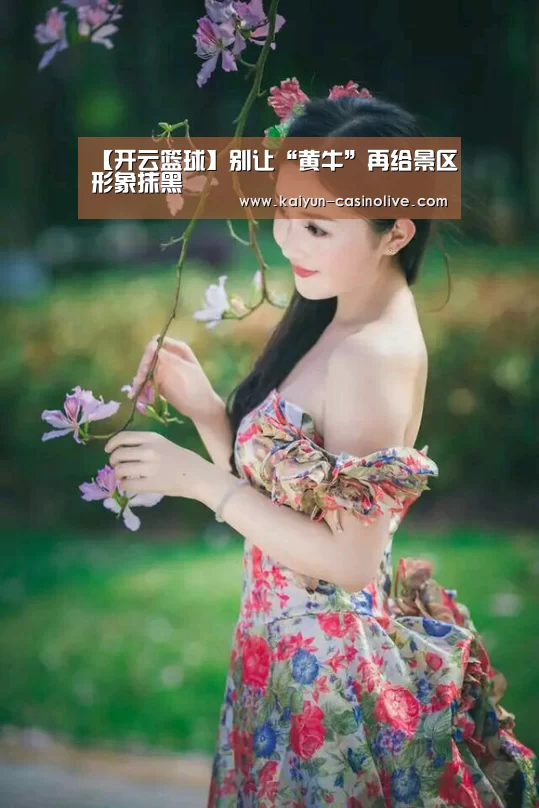 开云赛事