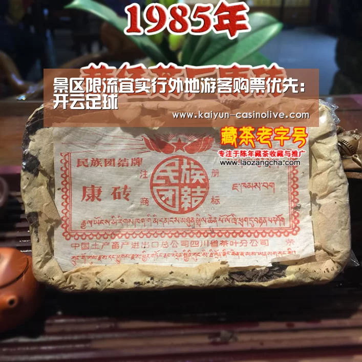 开云篮球